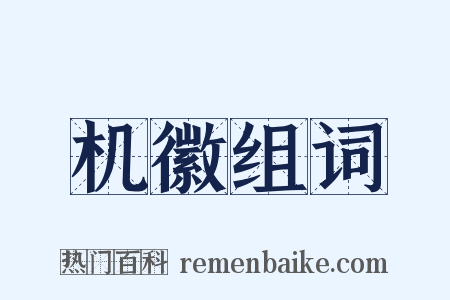 机徽组词是什么意思的图片